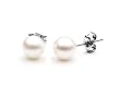 AAA Quality Round 6-6.5mm Akoya SaltWater cultured White Pearl Earrings with 18K White Gold Mount