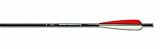 Carbon Express Aluminum Crossbolt (Pack of 6), 20-Inch