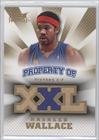 2008-09 Hot Prospects Property of Jerseys #PORW - Rasheed Wallace/199