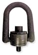 Dayton 1DMY1 Hoist Ring, Standard Duty, 7000 Lb