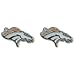 NFL Denver Broncos Team Post Earrings