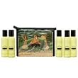 Kama Sutra Massage Therapy Kit