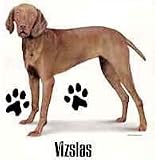 Vizsla Shirts