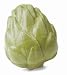 Planet Dog Orbee Tuff Treat Toy - Artichoke