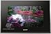 Sony DPF-V1000 10-Inch Digital Photo Frame