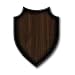 Shield Plaque Sword Display