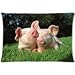 Home Decorative Polyester Pillow Case Animals Funny Weasels Pig Pair Grass Lie 12 x 20 Inches