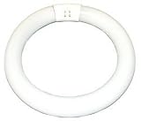 Tools & Hardware : 30 watt 8" T9 4-Pin Base 3,000K Rapid Start Circline Fluorescent Sylvania Light Bulb