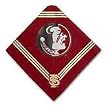 Florida State Seminoles Dog Bandana Size Small