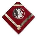 Officially Licensed Florida State Unviversity Seminoles Dog Bandana - Small