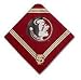Officially Licensed Florida State Seminoles Dog Bandana Size Small
