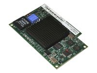 Emulex 8GB Fibre Channel Exp Card Ciov for IBM Blade