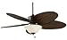 Fanimation The Islander® Satin Nickel Dry Location Motor Fan w/ 22