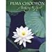 Pema Chodron 2009 Engagement Calendar Image