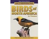 Birds Of N.A. Gold V5.0 Window