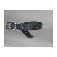 Dog Collar, 1