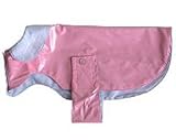 Sorority Jane Rain Coat for Dogs -Small