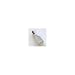 Electronics : iGo Notebook iTip 08 for juice70 ice70 auto / air85 wall85 & EverywherePower7500