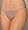 Gingersnap