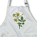 Flowers Carolina Jasmine - Medium Length Apron With Pouch Pockets 22w X 24l