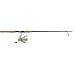 Pflueger Trion GX 7 Two Piece Light Action Spinning Combo, 6-Feet 6-Inch