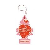 AoE Performance Magic Tree Car Air Freshener Duo Gift Pack Strawberry And Cream And New Car Scent