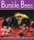 Bumble Bees (Insects)