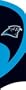NFL Carolina Panthers Tall Team Flags