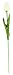 10pcs Wholesale Tulip Flower Latex Real Touch for Wedding Bouquet Decor Flowers (KC451 White Tulip)