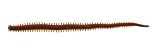 Berkley Gulp! Saltwater 4" Fat Sandworm, Dark Brown-Blue Fleck