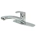 Single Control Kitchen Faucet WHose Spray