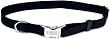 Spectra Blue Nylon Adjustable Collar w/ Metal Buckle - Size from 12 to 18 Inches with a Width of 3/4 in.