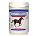 Cosequin Equine Powder, 1400 Gram Container