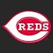Cincinnati Reds Car Seat Cover