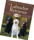 The Labrador Retriever by Steve Smith