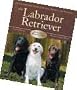 The Labrador Retriever by Steve Smith