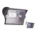 Cooper/Regent Halogen Quartz Flood Light Bronze 500-Watt GP500WL