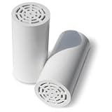 Pair of Replacement filters for Rainshow'r Gard'n Gro Chlorine Filter System