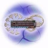 8port Db9 Fanout Dte Cable