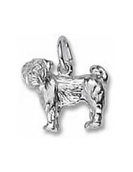 Rembrandt Charms Pug Charm