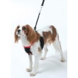 Non Pull Dog Harness By Sporn - Medium Black