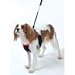 Non Pull Dog Harness By Sporn - Medium Black