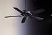 Electronics : Transitional Sundowner Ceiling Fans BY Minka Aire F589-HT