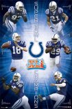 Indianapolis Colts (2007 Superbowl Champions) Sports Poster Print - 24