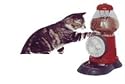 Kitty Cat Treat Machine