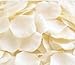 BFlowerYan Ivory Silk Rose Petals - Bag of 200 petals