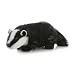 Plush Badger 12