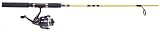 Eagle Claw Water Eagle Spin Combo 4 Ball Bearing, 6-Feet, Medium
