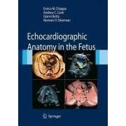 Click here to buy Echocardiographic Anatomy in the Fetus by Enrico Chiappa, Andrew C. Cook, Gianni Botta, and Norman H. Silverman.