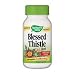 Blessed Thistle Herb